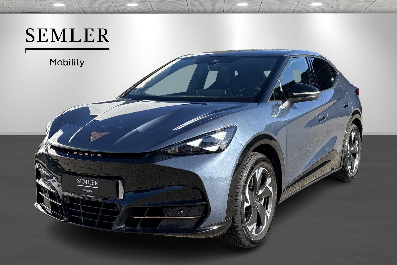 Cupra Tavascan 77 Endurance