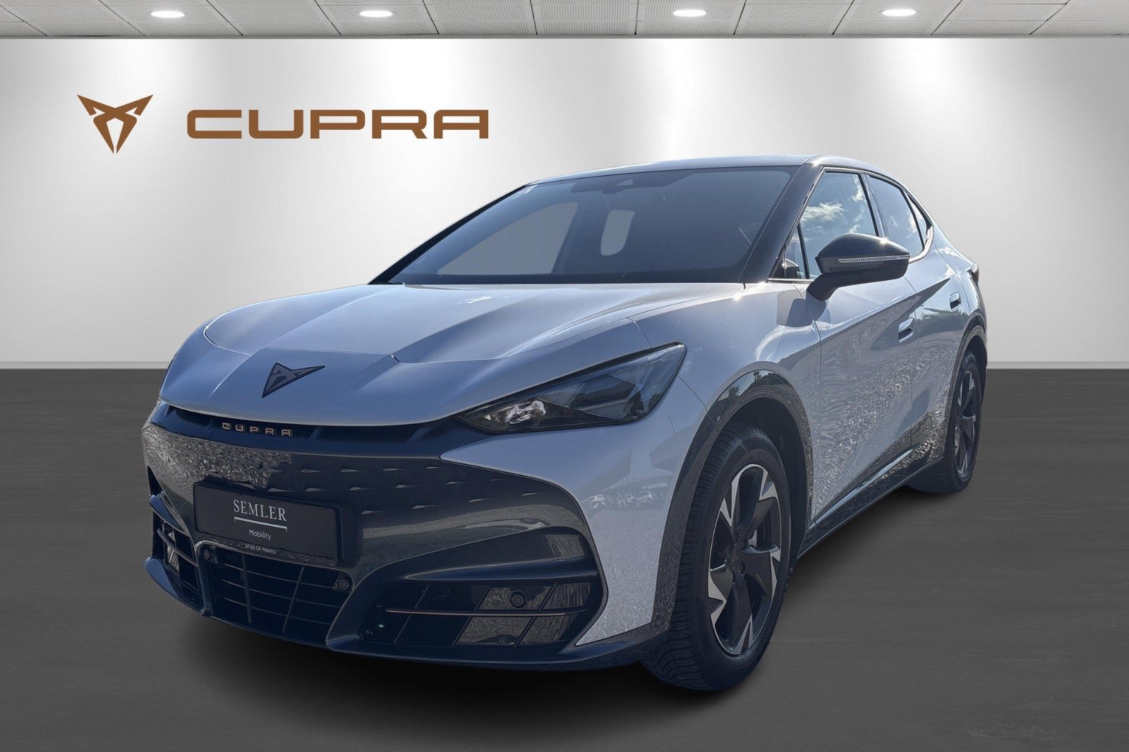Cupra Tavascan 77 Endurance