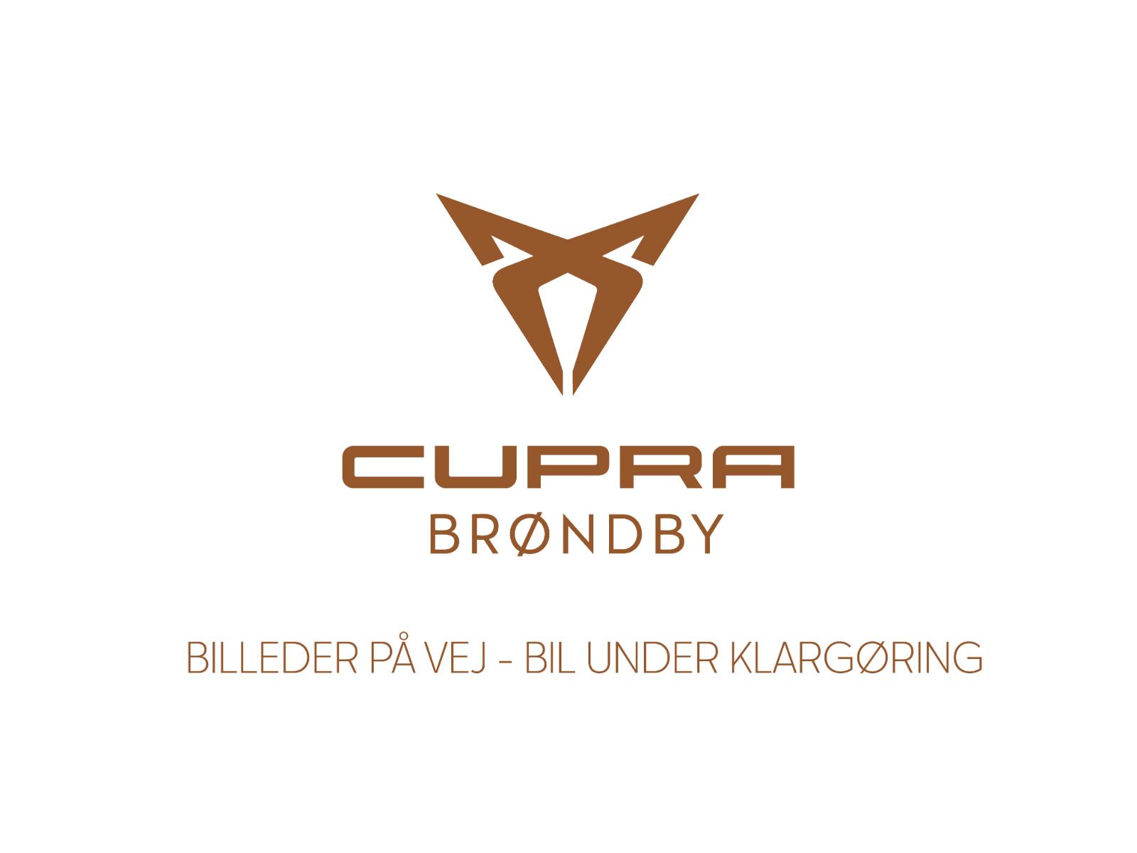 Cupra Tavascan 77 Endurance